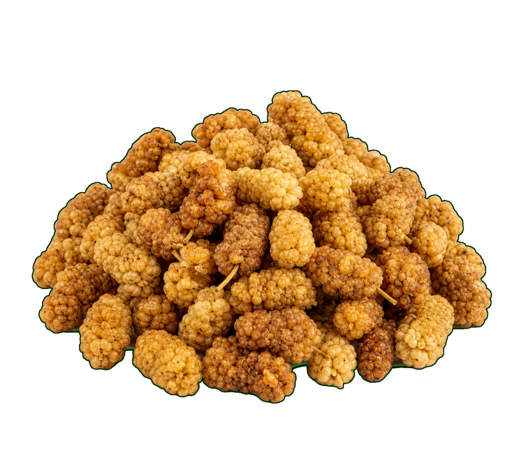 mulberries dried